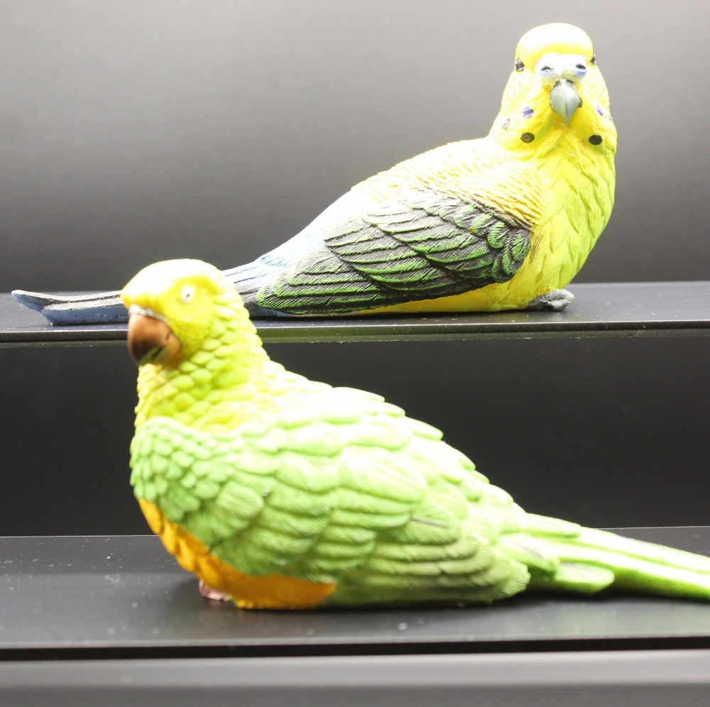 Set of Decorative Tropical Birds